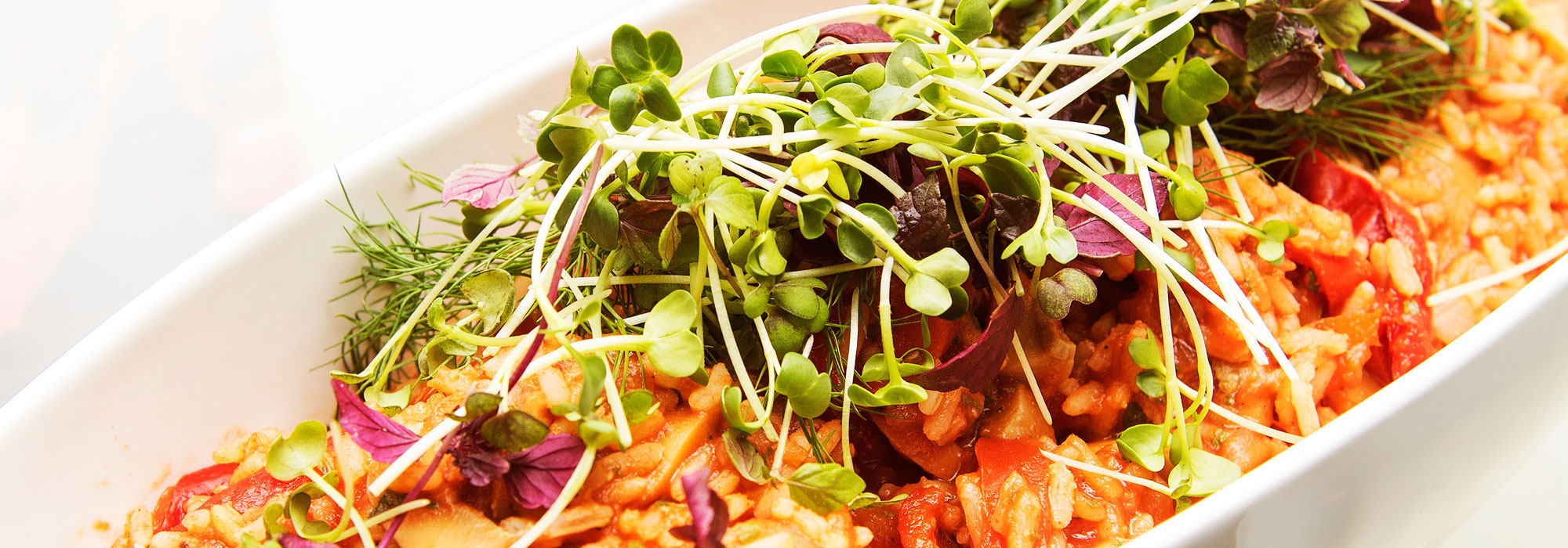 ASG - Catering vom Profi