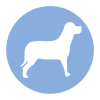 Hunde erlaubt